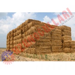 BALYA İPİ NEWHOLLAND FİYAT SORUNUZ 0-266-762 13 34