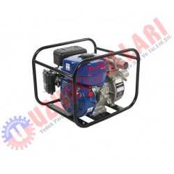 PALMERA BENZİNLİ SU MOTORU 2 PA20T