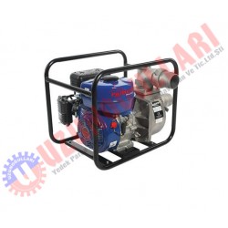 PALMERA BENZİNLİ SU MOTORU 3 PA30T EURO 5 MOTOR