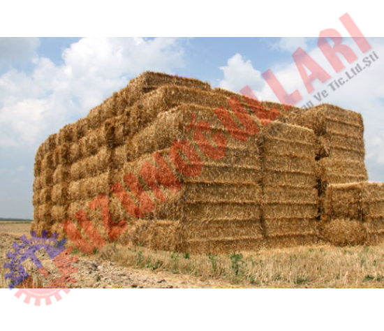 Balya Ipi Newholland TOPLU ALIMLARINIZ İÇİN Fiyat Sorunuz 0-266-762 13 34