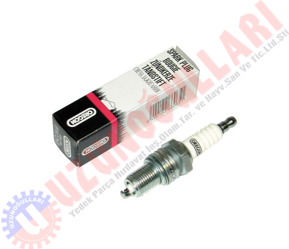 Buji 4 Zamanlı Oregon Kutulu