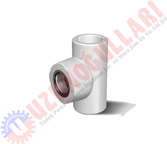 Dişi Te 20x¾''x20mm Pprc