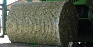 Silaj Filesi Balya Filesi 123*3000 Mt (polifil-hayfil)  (fiyata Nakliye Dahildir.) En Ucuz Fiyat